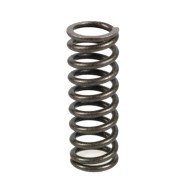 Clutch Spring Modena KK1 MKZ KK2
