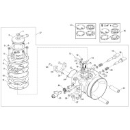 Carburateur TM S1 D.24 OK