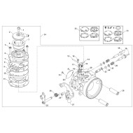 Carburettor TM N1 D.24 OK-N