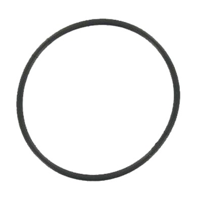 Oring Wasserpumpe Birel Freeline