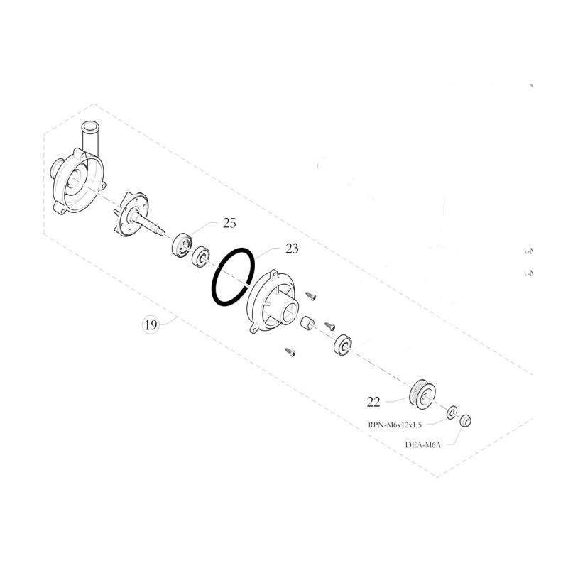 Oring Wasserpumpe Birel Freeline