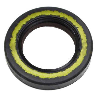 Paraolio 25x40x7 doppio labbro Teflon