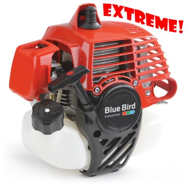 Motore Completo Bluebird N61E PREPARATO