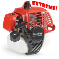 Complete Engine N61E Bluebird PREPARED