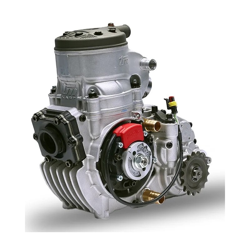 Motor Completo TM KZ R2!, MONDOKART, kart, go kart, karting