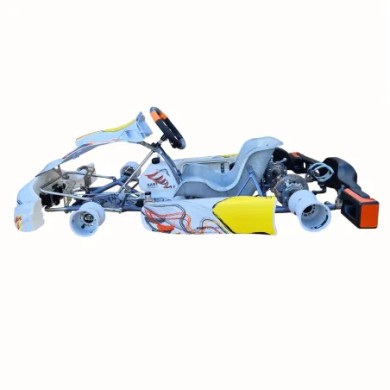 Chassis Komplett OK OKJ OKN KR1 KR2 Kart Republic KR 2026 !