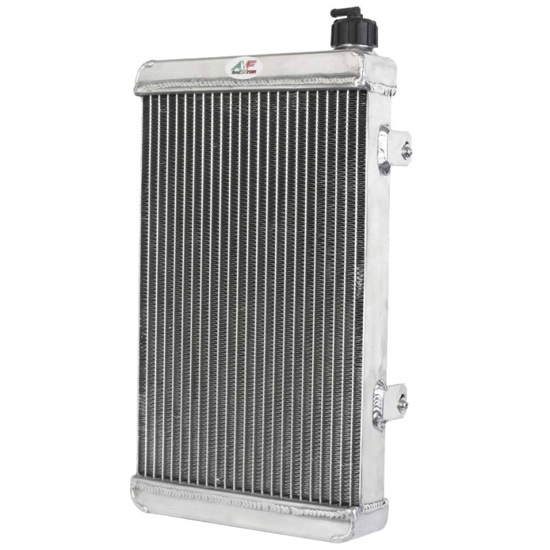 Reinigungsschwamm Kühler – AF Radiator (10 Stuck), MONDOKART