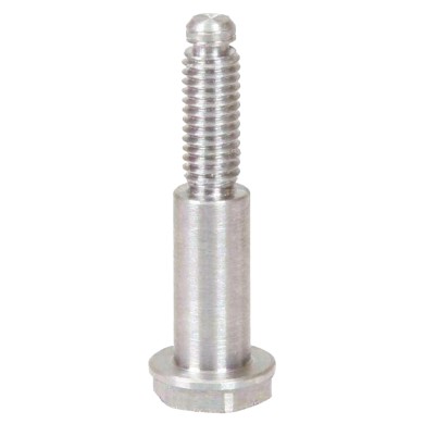 Tornillo M6-D8 Fijación Disco Freno Delantero RR MA20