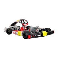 Chasis BirelArt RY 32-S19 - DD - OK - OKJ 2026!