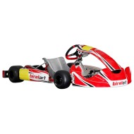 Chassis BirelArt RY 32-S19 - DD - OK - OKJ 2026!