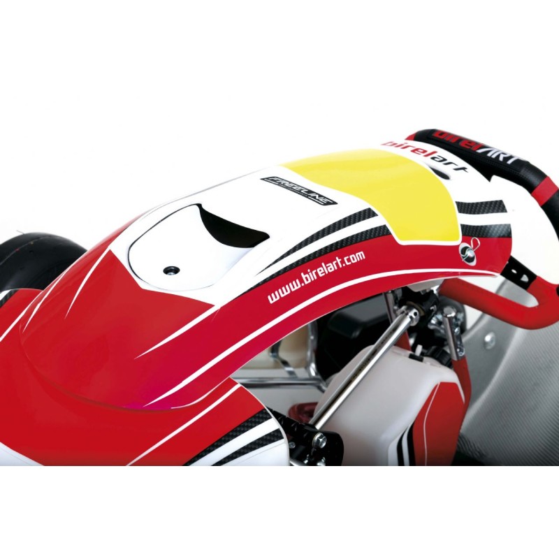 Chassis BirelArt Mini C28 S19 2026!