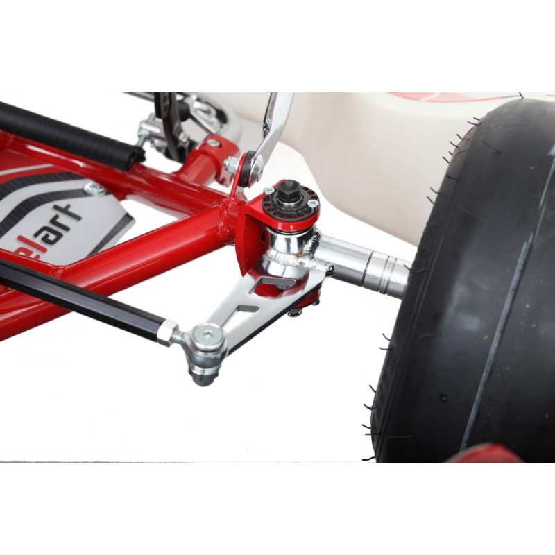 Chassis BirelArt Mini C28 S19 2026!