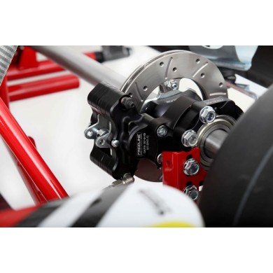 Chasis BirelArt Mini C28 S19 2026!