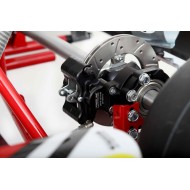 Chassis BirelArt Mini C28 S19 2026!