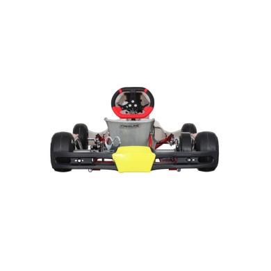 Chasis BirelArt Mini C28 S19 2026!