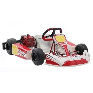 Kart completo Birel Easykart 50cc NEW!!