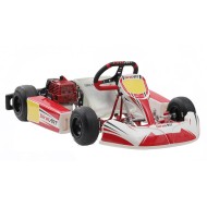 Kart complet Birel Easykart 50cc NOUVEAU !!
