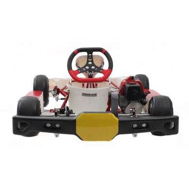 Kart complet Birel Easykart 50cc NOUVEAU !!