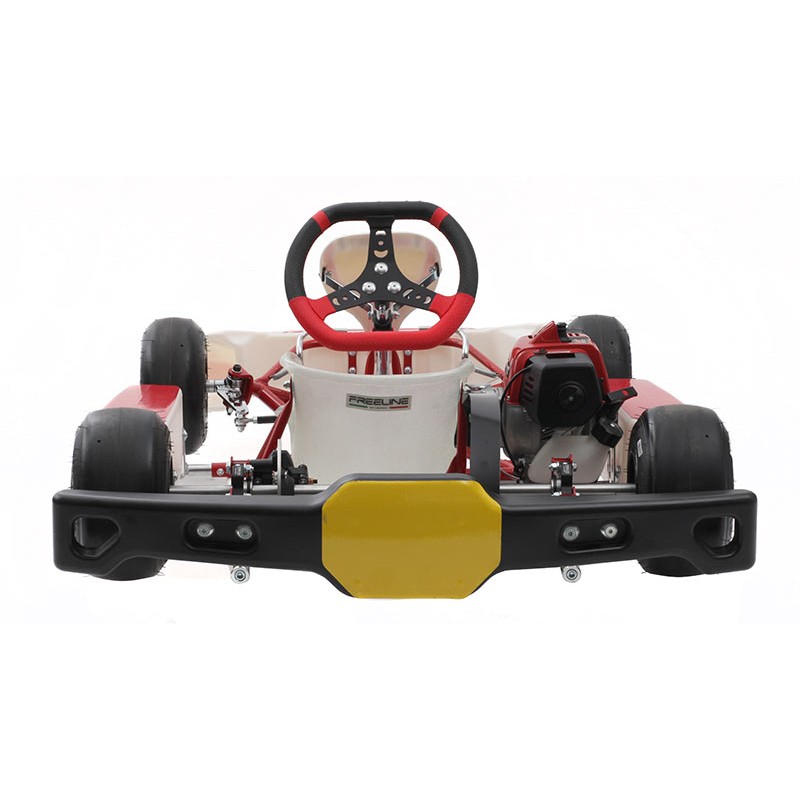 Kart completo Birel Easykart 50cc NEW!!