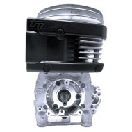 Engine TM MINI 4 and 4B – 60cc – Mini & Under10 Categories – NEW!