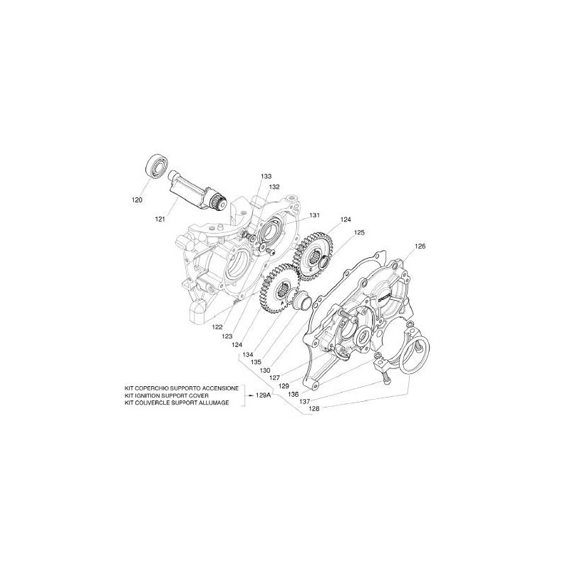 Rodamiento 6005 C4 (poliamida), MONDOKART, kart, go kart