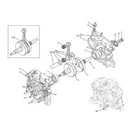 Biela Distancia entre ejes 104 mm Munqeuilla 48,8 IAME KF