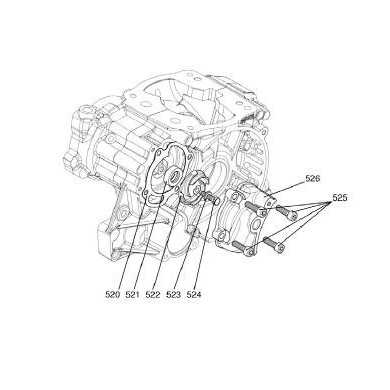 Junta bomba agua Iame Reedster KF, MONDOKART, kart, go kart