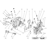 Paraolio FPJ 28x38x7 doppio labbro Teflon, MONDOKART, kart, go