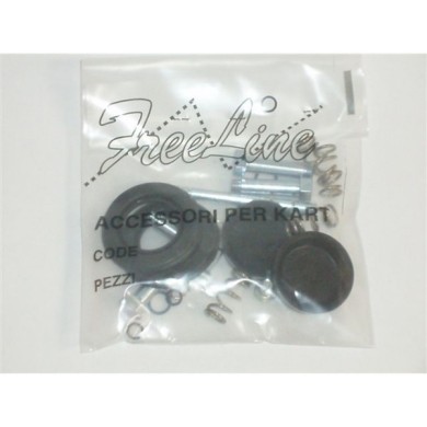 Brake caliper revision Easykart (first type) Birel, mondokart