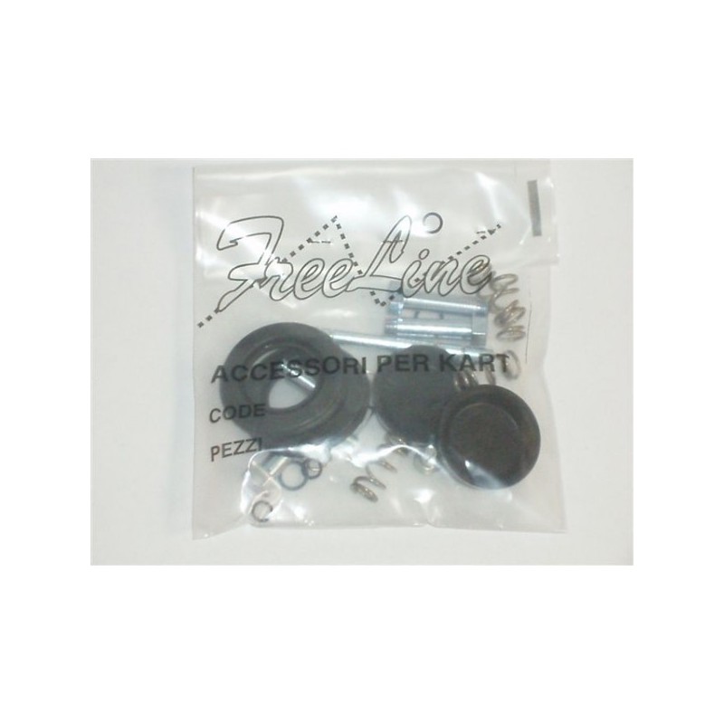 Kit Reparación Pinza Freno Easykart (primer tipo) Birel