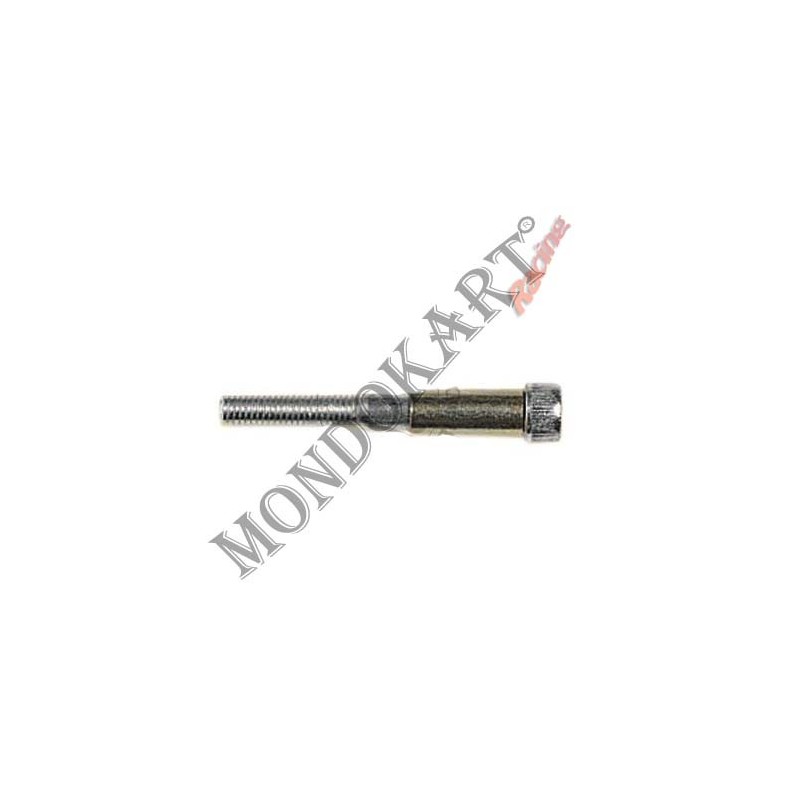 Screw for double diameter pedal (8-10) Allen, mondokart, kart