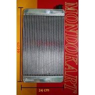 Kühler CHROME Mondokart LIMITED NEU!!