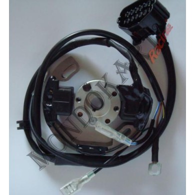 Ignition Selettra Mini 60cc (from 2010 onwards), mondokart