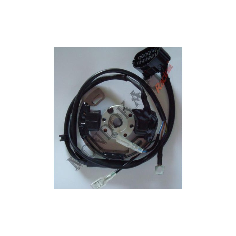 Ignition Selettra Mini 60cc (from 2010 onwards), mondokart