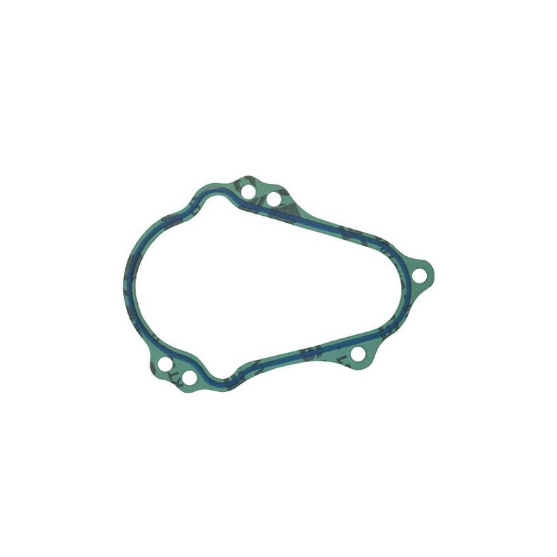 Seals gearbox cover Modena KK1 MKZ, mondokart, kart, kart