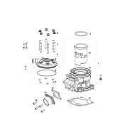 Guarnizione base cilindro TM KF - OK - OKJ, MONDOKART, kart, go