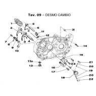 Placque Desmo TM KZ10B KZ10C, MONDOKART, kart, go kart