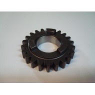 Ingranaggio 5^ A.P. Z 22 primario TM, MONDOKART, kart, go kart