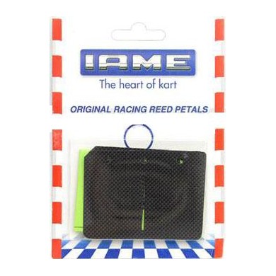 Jeu Kit Clapets IAME X30 175cc SuperShifter, MONDOKART, kart