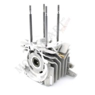 Carter comprehensive Minirok 60cc bearing Minirok 60cc Vortex