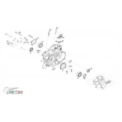 Racor Cambio M 12 x 1,5 Modena KK1 MKZ, MONDOKART, kart, go