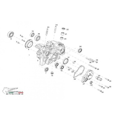 Paraolio 25 x 37 x 6 Modena KK1 MKZ, MONDOKART, kart, go kart