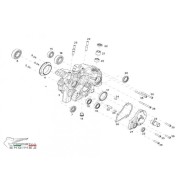 Paraolio 25 x 37 x 6 Modena KK1 MKZ, MONDOKART, kart, go kart