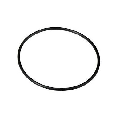 Oil sealing clutch ring Iame Screamer (1-2) KZ, mondokart