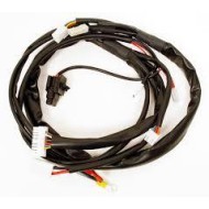 Faisceau Electronique Câbles IAME avec connecteurs Leopard