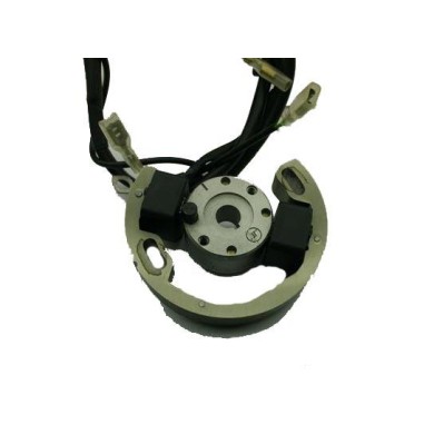 Allumage Vortex DVS (avec limiteur), MONDOKART, kart, go kart