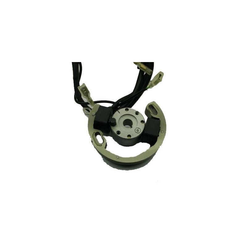 Accensione Nuda Vortex DVS (con limitatore), MONDOKART, kart