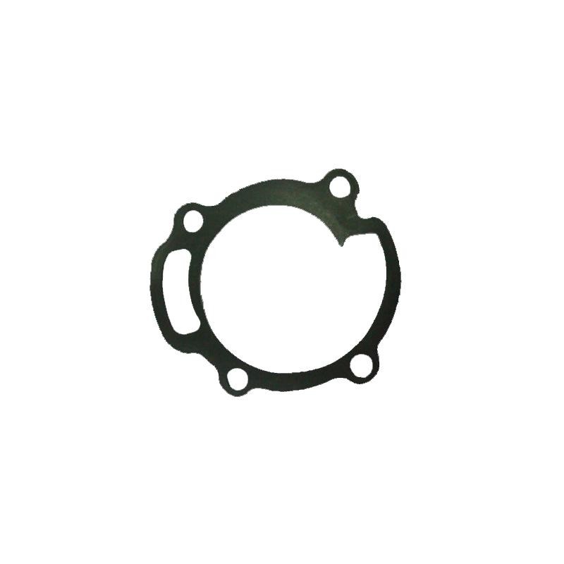 Guarnizione coperchio pompa Iame Reedster KF, MONDOKART, kart