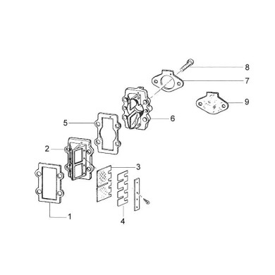 Complete reed valve TM KF, mondokart, kart, kart store