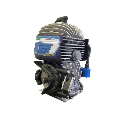 TM 60cc Mini for Sale - Buy Now at MondoKart